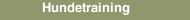 Hundetraining